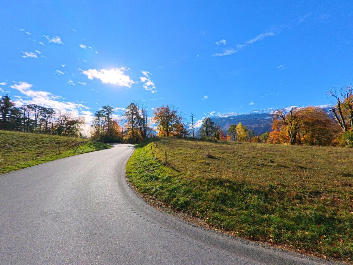 Eine schmale, leicht ansteigende Strasse führt durch offene Wiesen und herbstlich gefärbte Bäume am Rand von Fläsch (7306, Kanton Graubünden) unter hellem Himmel.