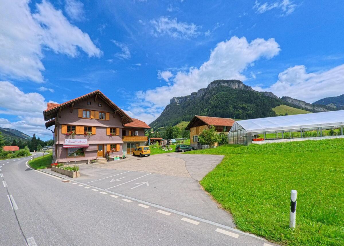 Am Rand von Flühli (6173, Kanton Luzern) steht ein farbenfrohes Geschäftshaus mit Blumenladen neben Gewächshäusern und Berglandschaft.