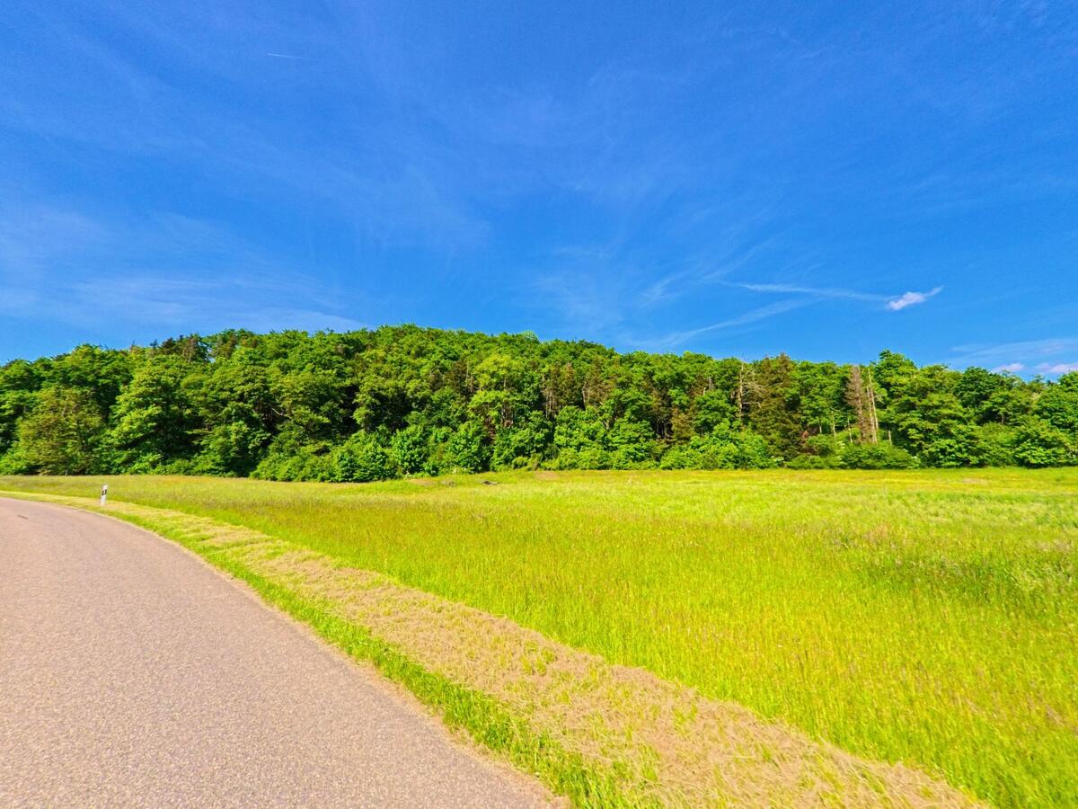 Eine Landstrasse in Fontenais (2904 im Kanton Jura) windet sich entlang einer weitläufigen Wiese am Rand eines dichten Waldes.