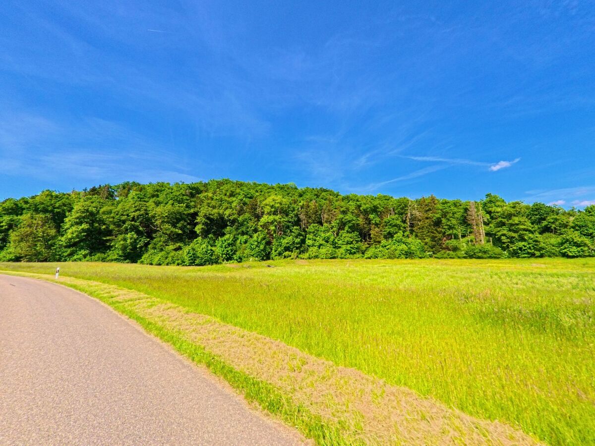 Eine Landstrasse in Fontenais (2904 im Kanton Jura) windet sich entlang einer weitläufigen Wiese am Rand eines dichten Waldes.