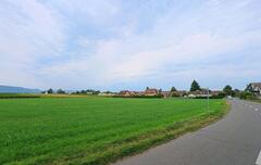 Founex
