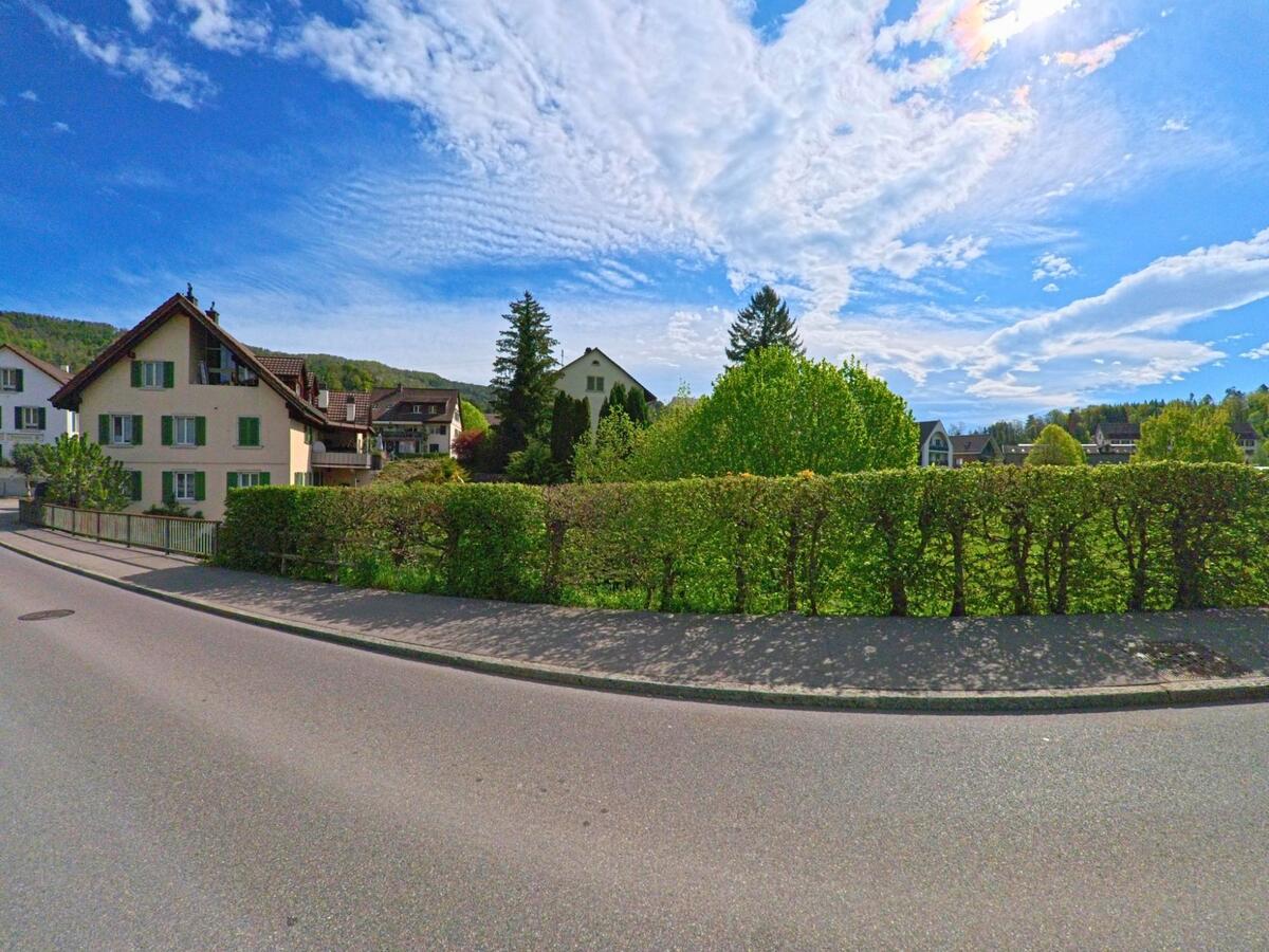 Entlang einer ruhigen Strasse in Freienstein-Teufen (PLZ 8427, Kanton Zürich) stehen Einfamilienhäuser mit gepflegten Hecken und Blick auf grüne Gärten.