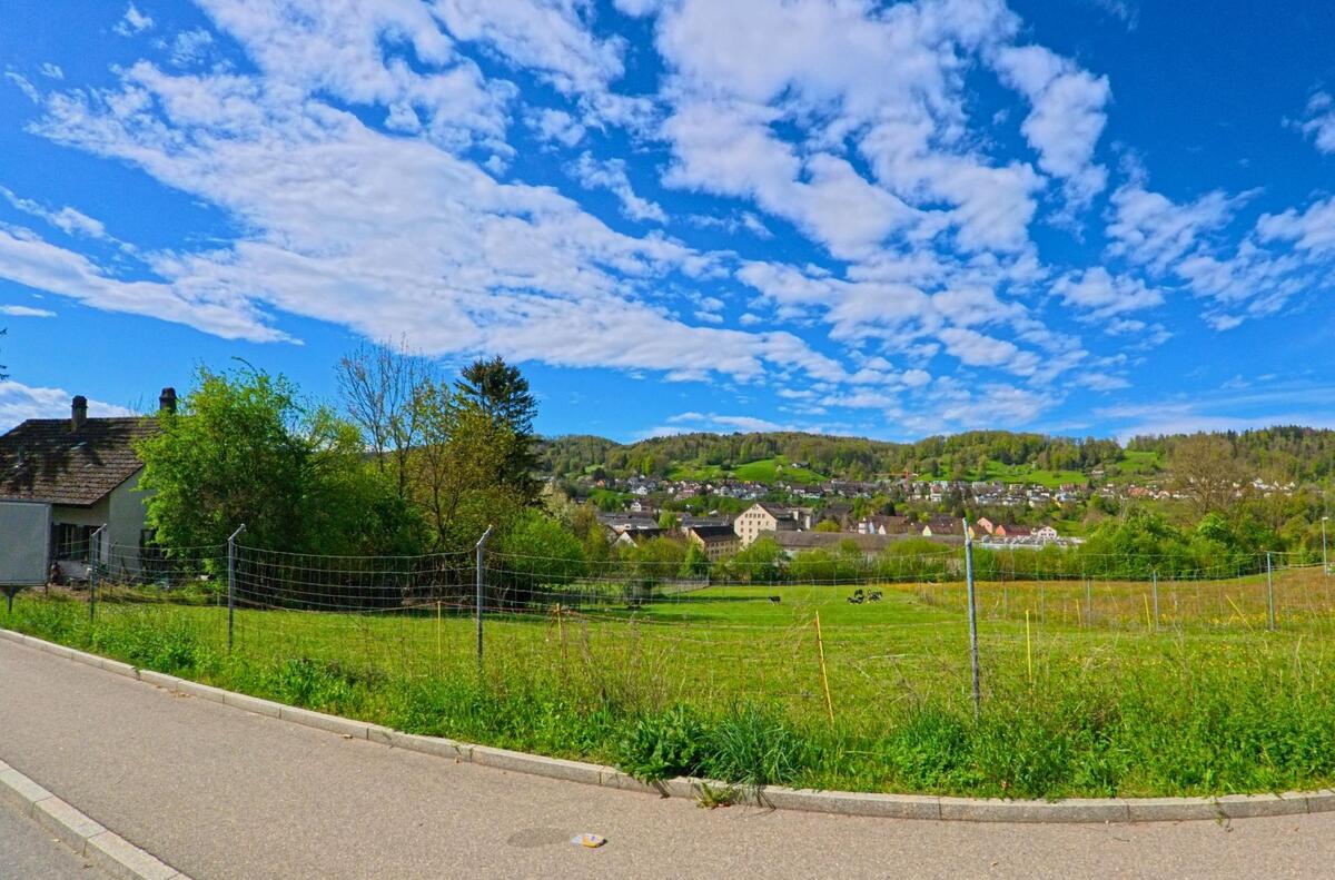 Am Rand von Freienstein-Teufen (PLZ 8427, Kanton Zürich) blickt man über eingezäunte Weiden hinweg auf das Dorf und die bewaldeten Hügel im Hintergrund.
