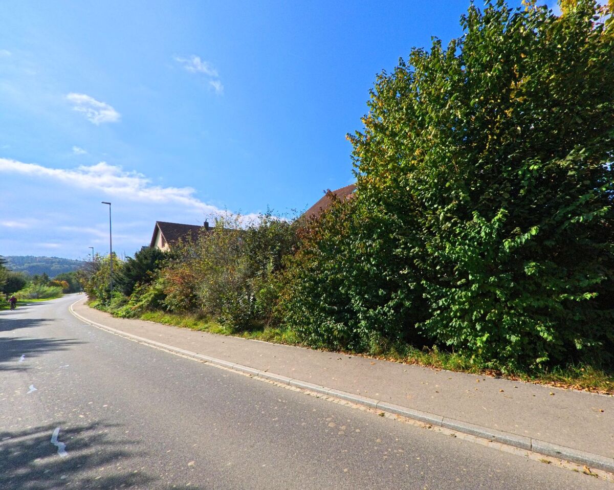 Eine leicht geschwungene Strasse in Freienwil (5423, Kanton Aargau) verläuft entlang dichter Grünhecken und Wohnhäuser im Hintergrund.
