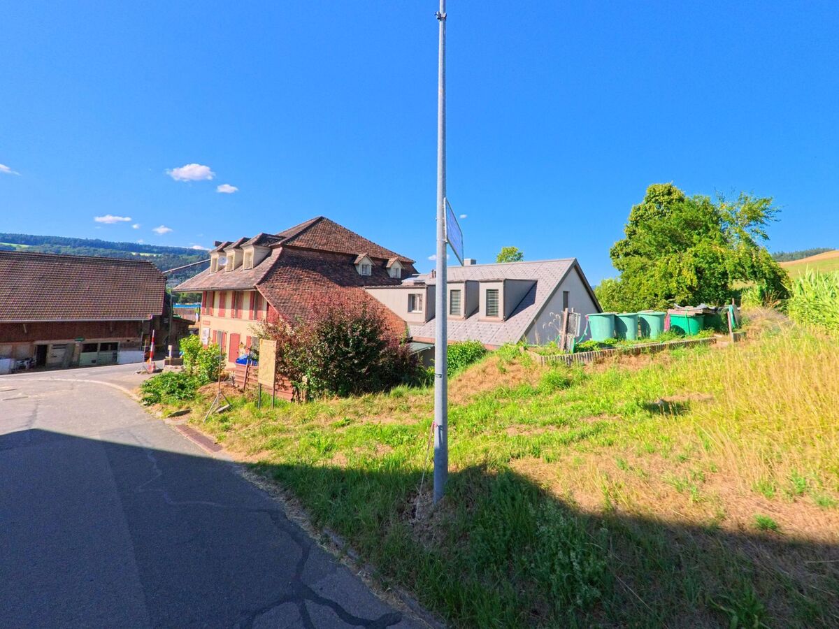 Am Ortsrand von Freimettigen (3510, Kanton Bern) stehen mehrere Gebaeude unterschiedlichster Bauweise an einer Nebenstrasse, daneben verlaufen Felder mit hohem Bewuchs.