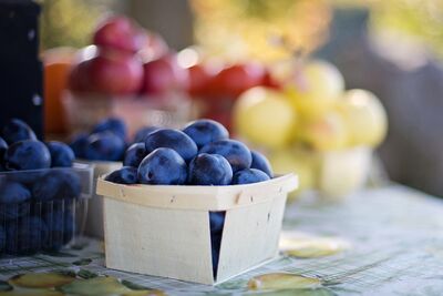 Reformhaus Naturkost Hombrechtikon