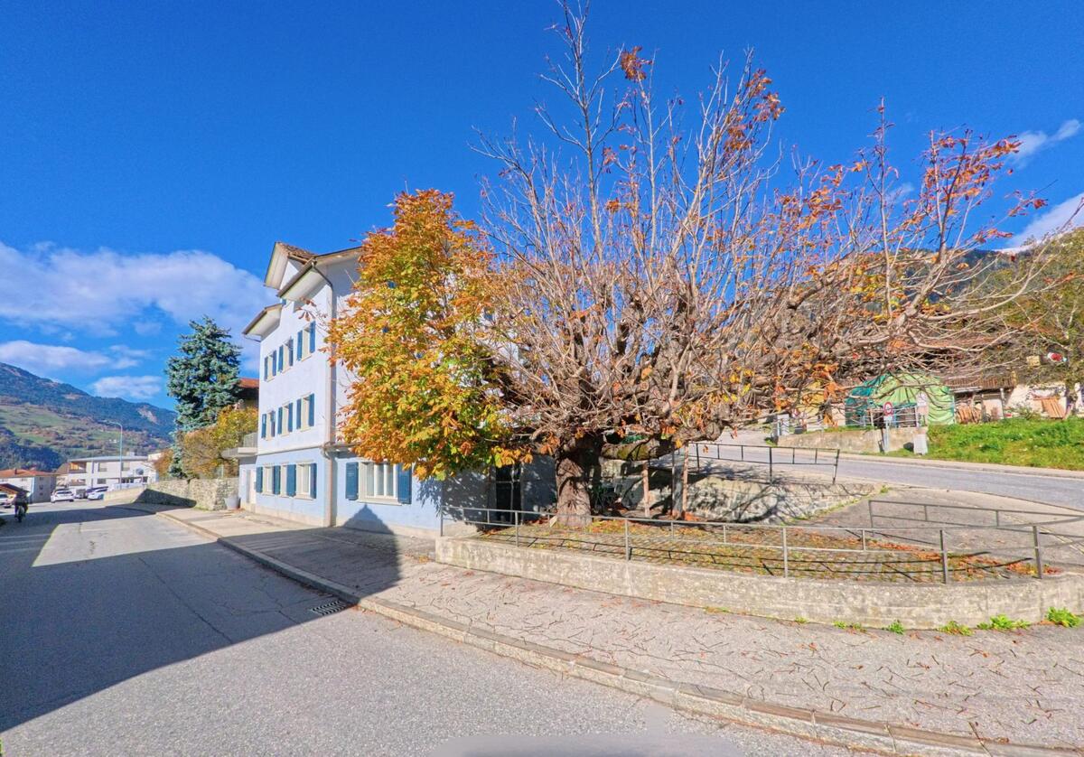 An einer ruhigen Strasse in Fürstenau (7412, Kanton Graubünden) steht ein helles Wohnhaus neben einem alten Baum mit herbstlichem Laub vor klar blauem Himmel.
