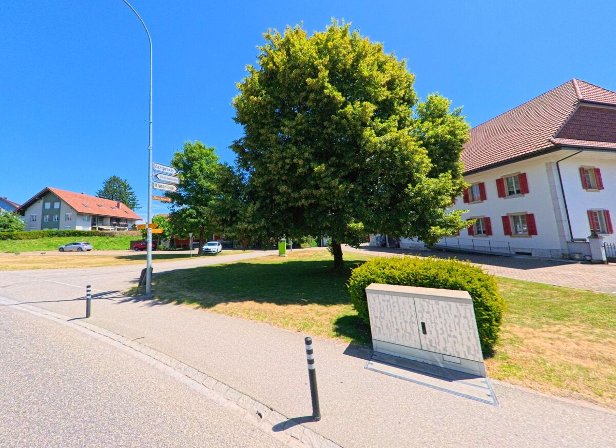 In Fulenbach (4629, Kanton Solothurn) steht ein grosser Laubbaum auf einer Gruenflaeche neben einem historischen Gebaeude mit roten Fensterlaeden und Wegweisern am Strassenrand.