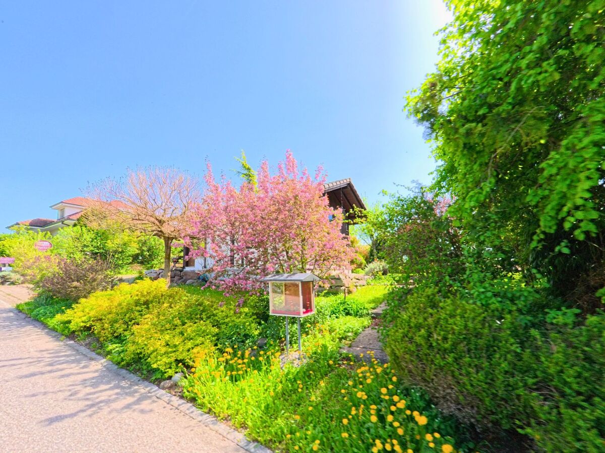 In einem farbenfrohen Vorgarten in Gempen (4145, Kanton Solothurn) blühen im Frühling zahlreiche Sträucher und Bäume entlang eines kleinen Weges