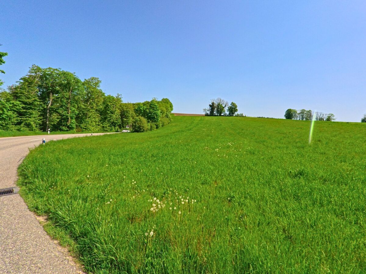 Eine kurvige Landstrasse verläuft in Gempen (4145, Kanton Solothurn) entlang grüner Wiesen und dichter Waldränder bei klarem Frühlingswetter.