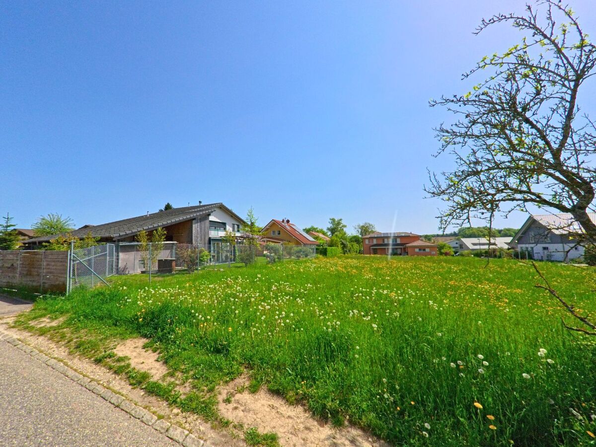 In Gempen (4145, Kanton Solothurn) grenzen moderne Einfamilienhäuser an eine blühende Wiese mit Löwenzahn und einem einzelnen Baum im Vordergrund.