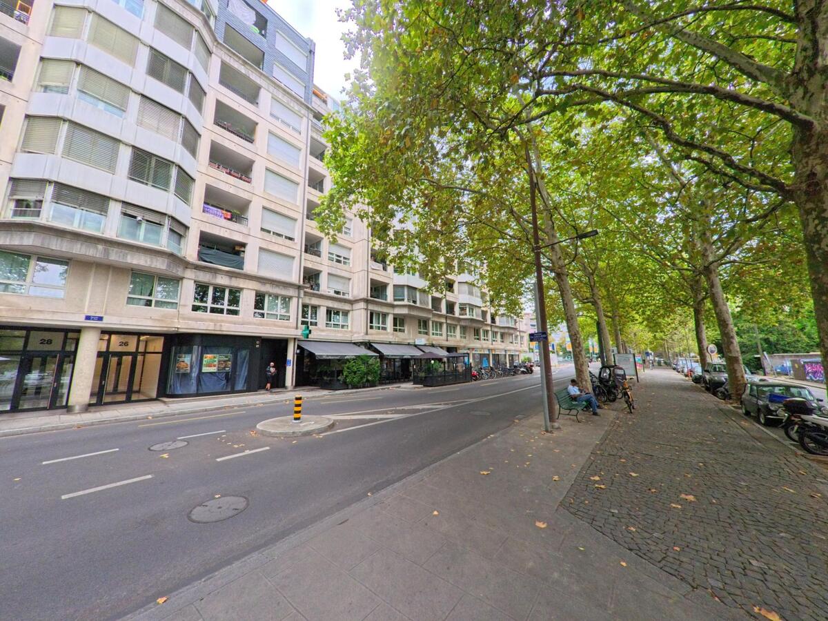 In Genève (1203, Kanton Genf) verläuft eine ruhige Allee mit hohen Bäumen und modernen Wohnhäusern entlang eines gepflasterten Gehwegs.