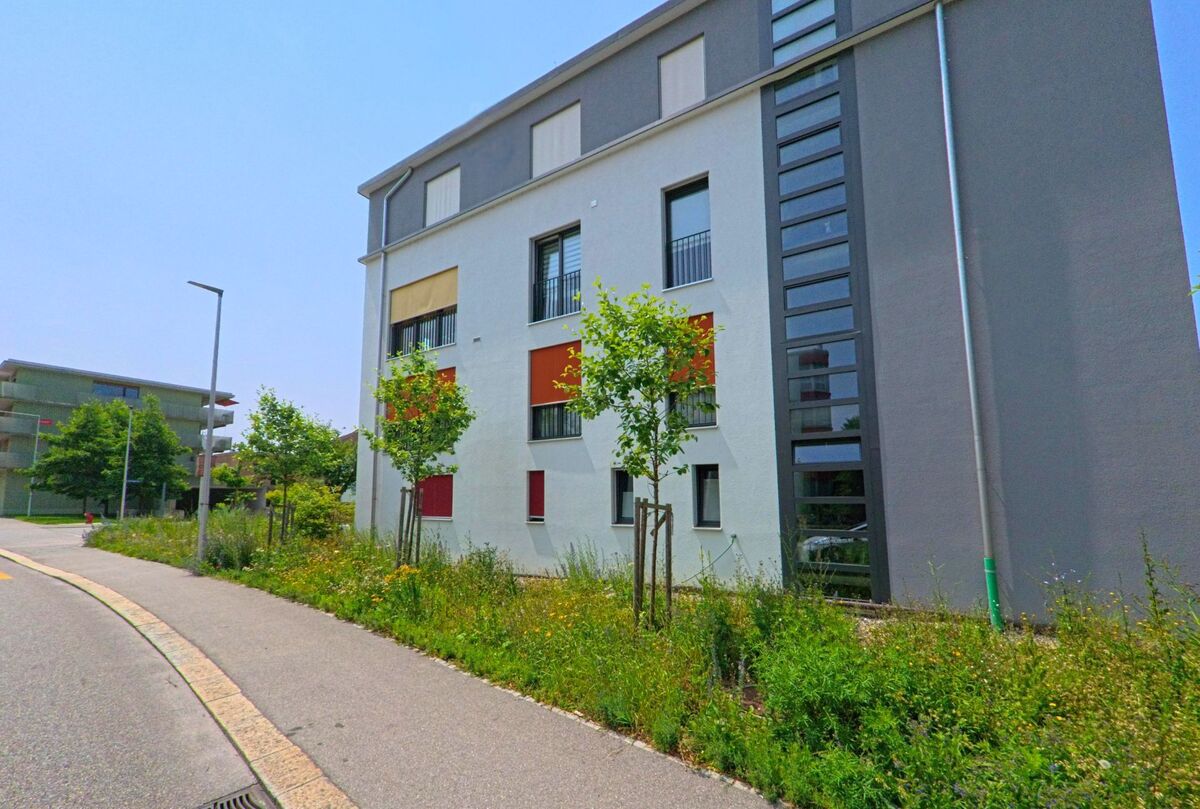 In Gerlafingen (4563, Kanton Solothurn) säumen junge Bäume und eine Wildblumenwiese den Gehweg vor einem modernen Wohngebäude mit farbigen Fensterläden.