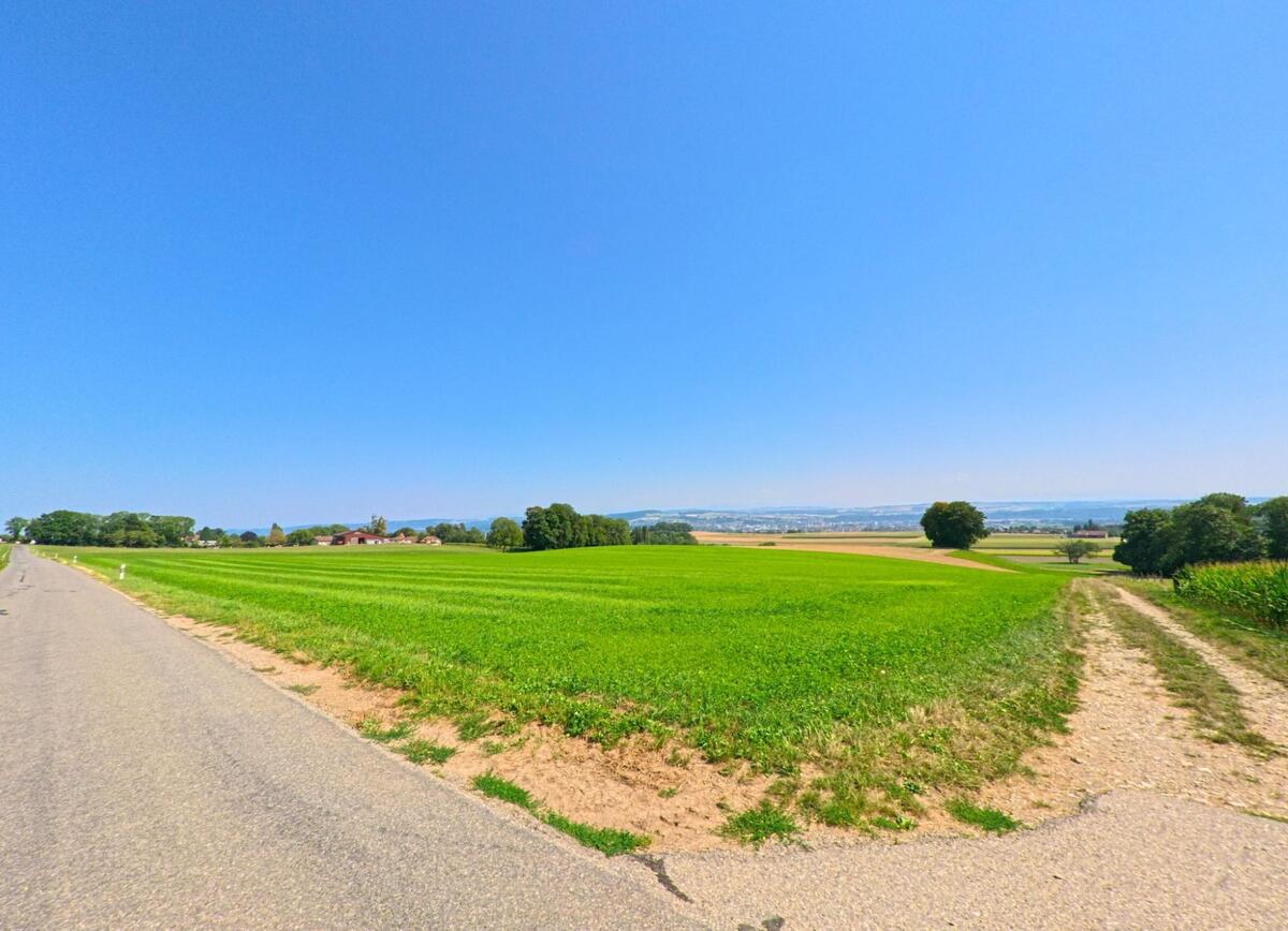 Nahe Giez (1429, Kanton Waadt) verlaufen eine Landstrasse und ein Feldweg durch weite, grüne Ackerflächen mit Sicht bis zum Neuenburgersee.