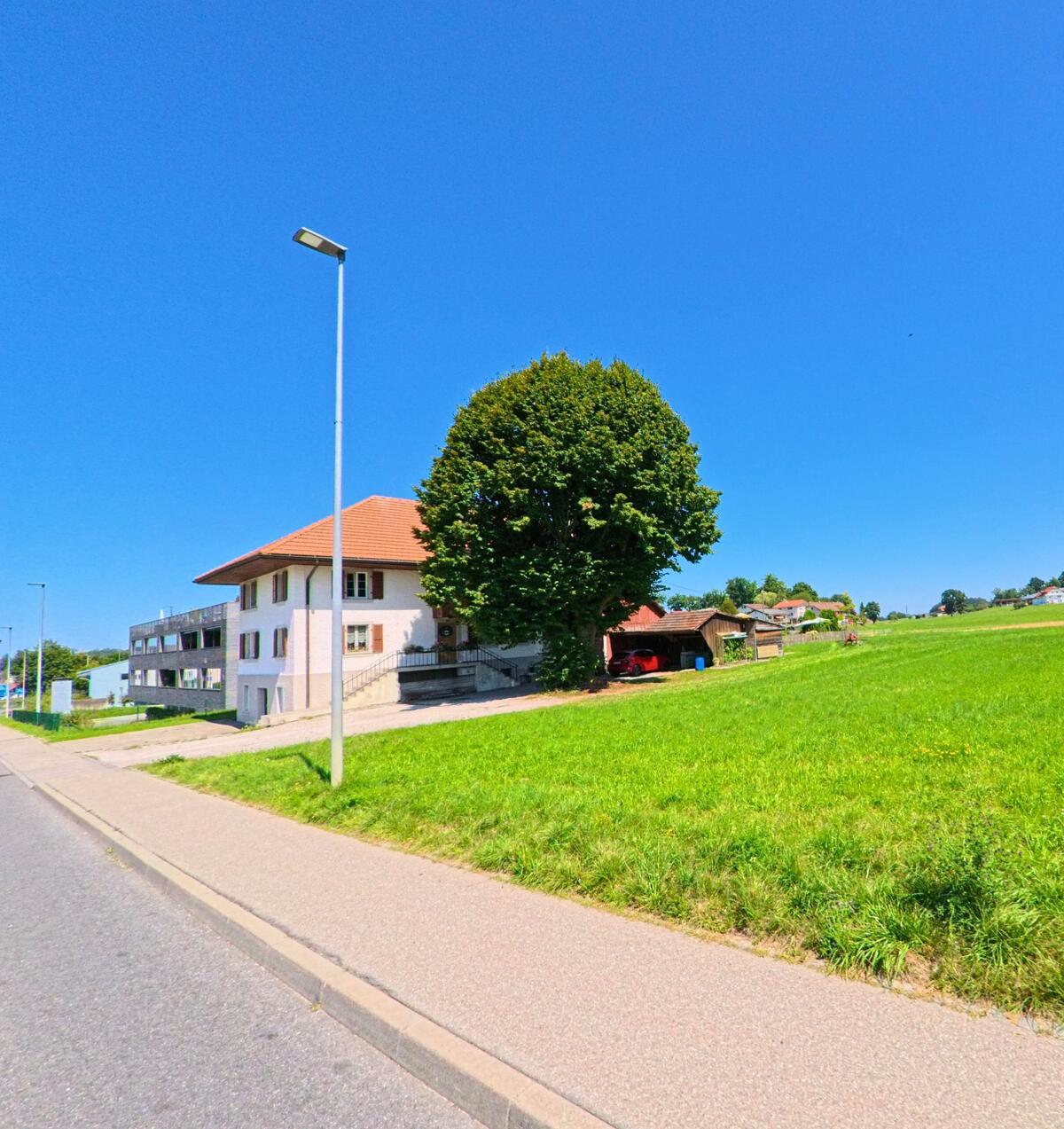 Ein einzelner grosser Baum steht vor einem Wohnhaus mit rotem Dach am Strassenrand in Giffers (1735, Kanton Freiburg), angrenzend an weite Grünflächen.