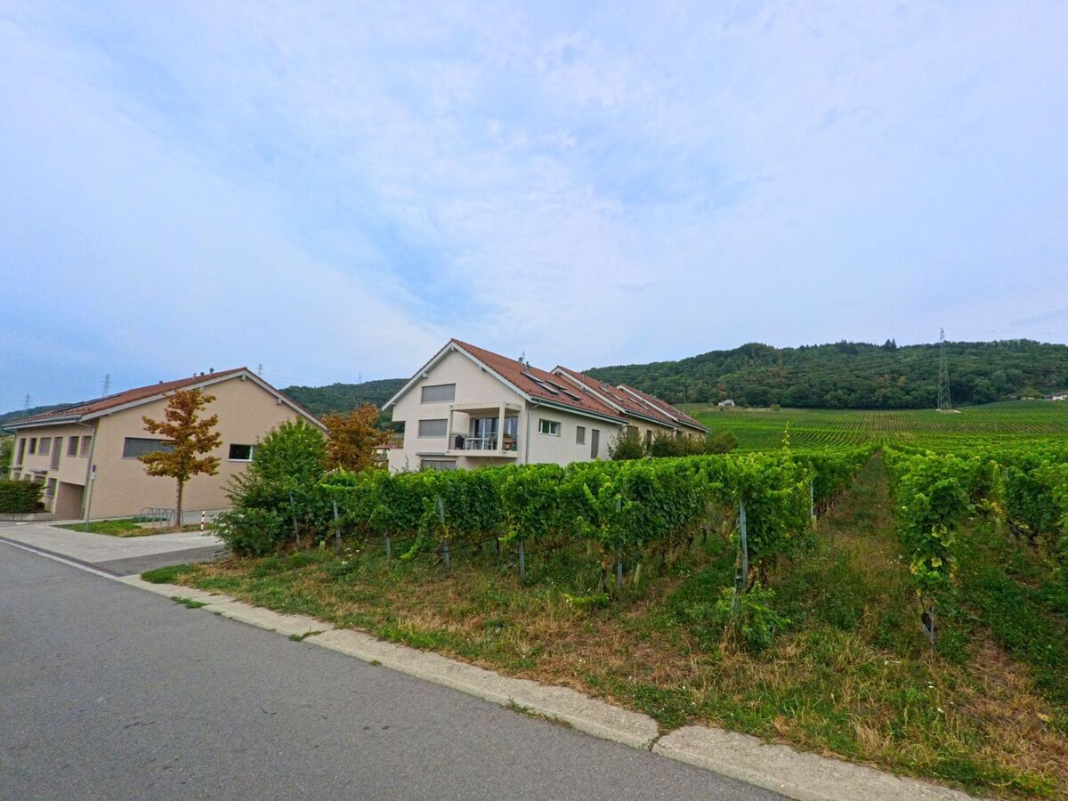 In Gilly (1182, Kanton Waadt) grenzen moderne Wohnhaeuser direkt an gepflegte Rebberge mit Blick auf den bewaldeten Huegel.