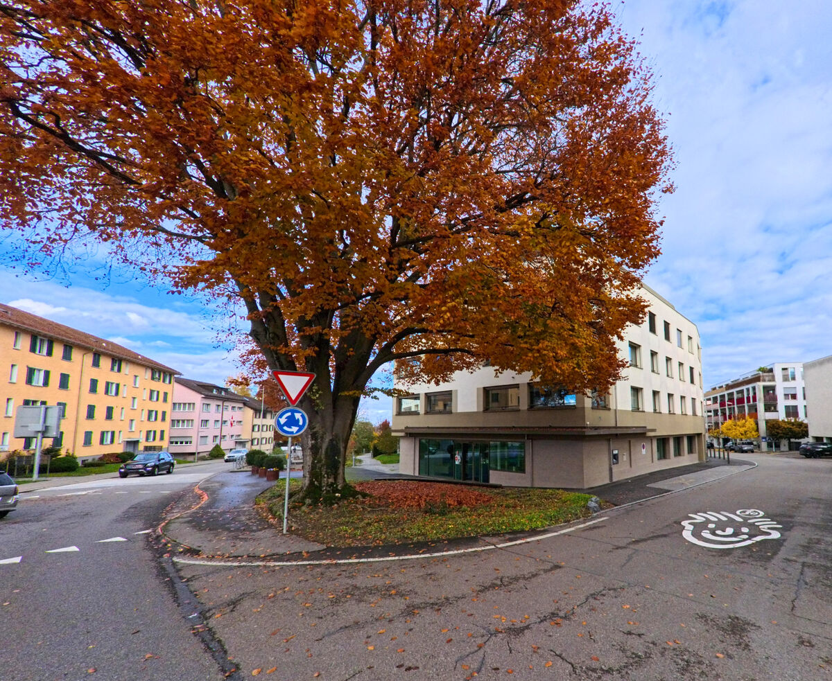 An einer Kreuzung mit Verkehrszeichen steht ein Baum mit rotem Herbstlaub in Goldach (9403, Kanton St. Gallen).