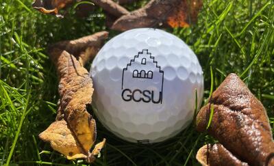 In Uster (8610, Kanton Zuerich) liegt ein Golfball mit dem Logo des Golf Club Schloss Uster zwischen gruenen Halmen und trockenen Blaettern im Sonnenlicht.