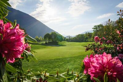 Auf dem Golfplatz in Losone (6616, Kanton Tessin) breitet sich eine gepflegte Grünfläche mit Blick auf bewaldete Hügel und blühende Sträucher aus.Auf dem Golfplatz in Losone (6616, Kanton Tessin) breitet sich eine gepflegte Grünfläche mit Blick auf bewaldete Hügel und blühende Sträucher aus.