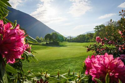 Auf dem Golfplatz in Losone (6616, Kanton Tessin) breitet sich eine gepflegte Grünfläche mit Blick auf bewaldete Hügel und blühende Sträucher aus.Auf dem Golfplatz in Losone (6616, Kanton Tessin) breitet sich eine gepflegte Grünfläche mit Blick auf bewaldete Hügel und blühende Sträucher aus.