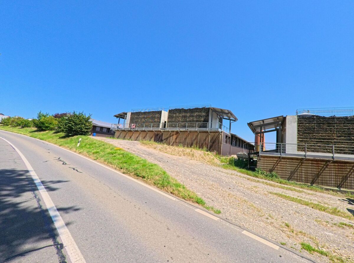 An einer ansteigenden Strasse in Gollion (1124, Kanton Waadt) stehen moderne Gebaeude mit grossen Stuetzwandkonstruktionen aus Steinkorbgitter.