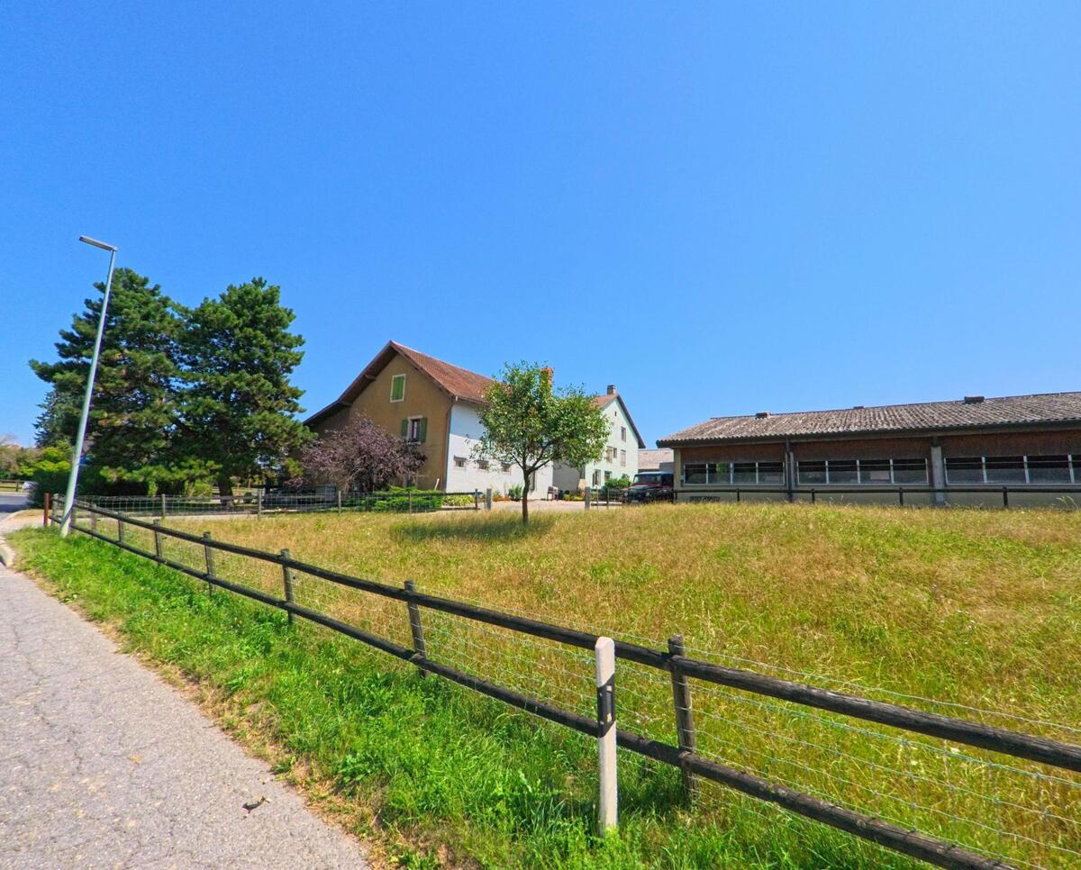 Am Rand einer Wiese in Gollion (1124, Kanton Waadt) stehen Wohnhaeuser und Nebengebaeude, eingefasst von einem Holzlattenzaun und Baeumen.