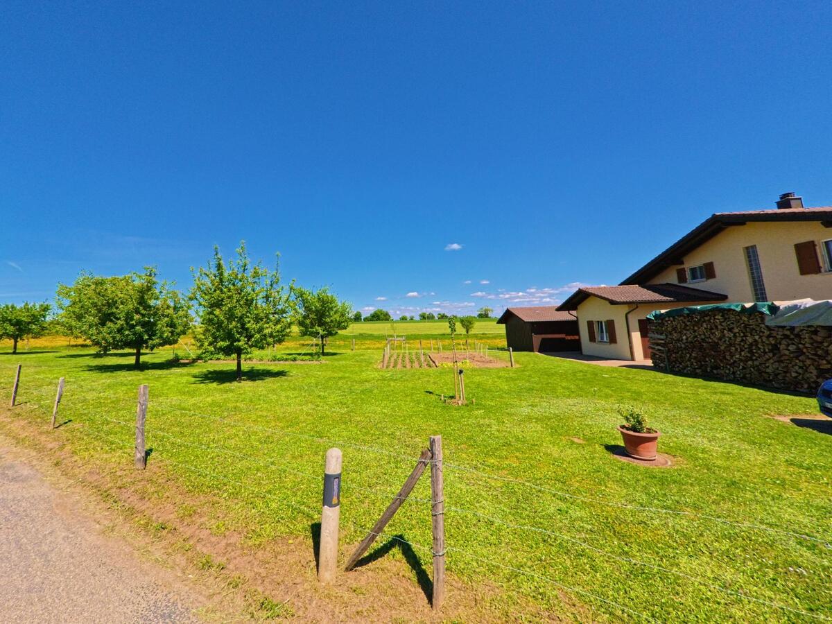 Eine gepflegte Wiese mit jungen Obstbäumen und Gemüsegarten breitet sich neben einem Wohnhaus in Grandfontaine (2908, Kanton Jura) aus.