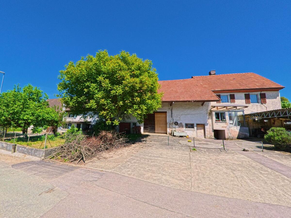 Ein traditionelles Wohnhaus mit rotem Ziegeldach in Grandfontaine (2908, Kanton Jura) liegt hinter einem grossen Baum und einem abfallenden Vorplatz.