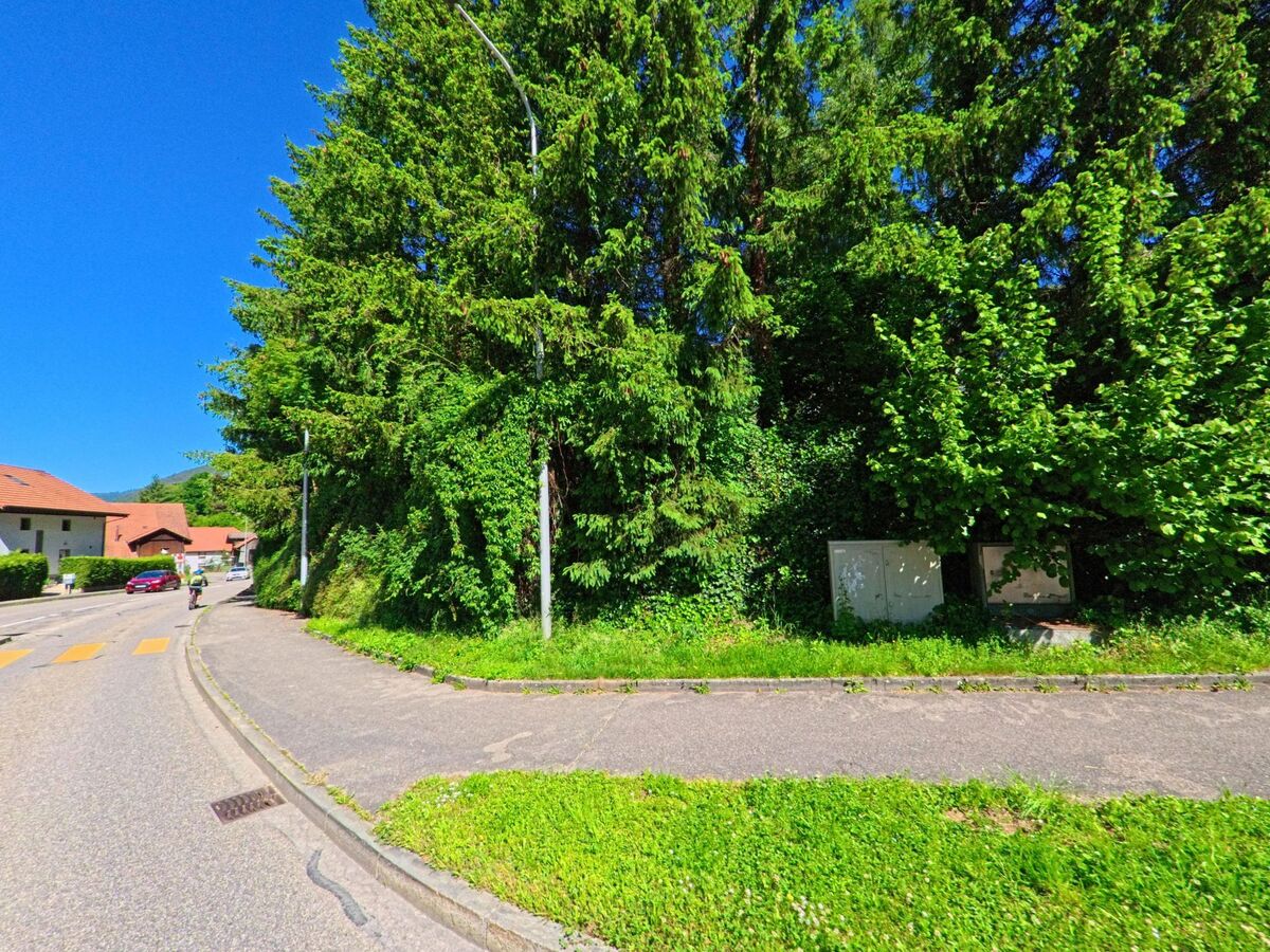 In Grandval (2745, Kanton Bern) verläuft ein Gehweg an einem dichten Waldstreifen entlang, während auf der gegenüberliegenden Straßenseite Wohnhäuser mit roten Dächern zu sehen sind.
