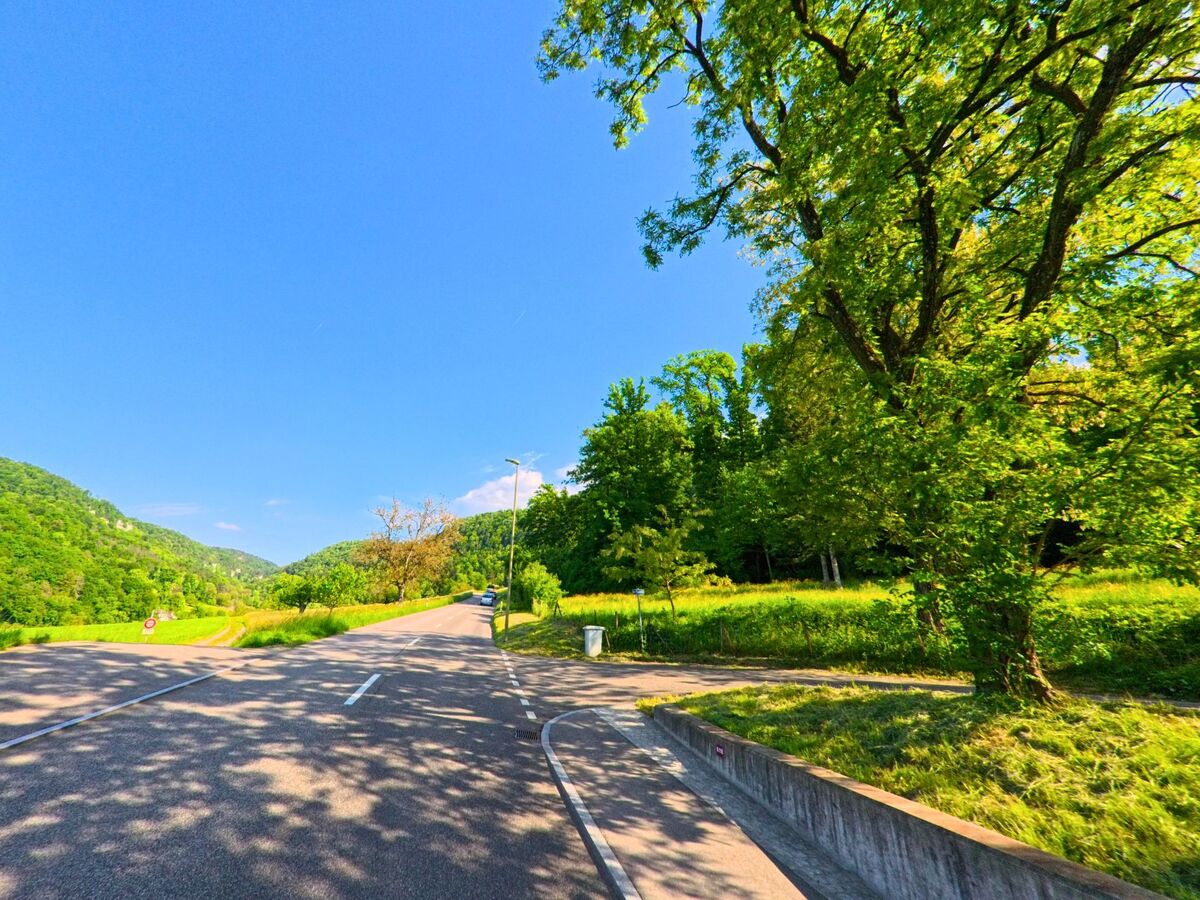 In Grellingen (4203, Kanton Baselland) führt eine Landstrasse durch ein von bewaldeten Hügeln umgebenes Tal mit Wiesen und Schatten spendenden Bäumen.