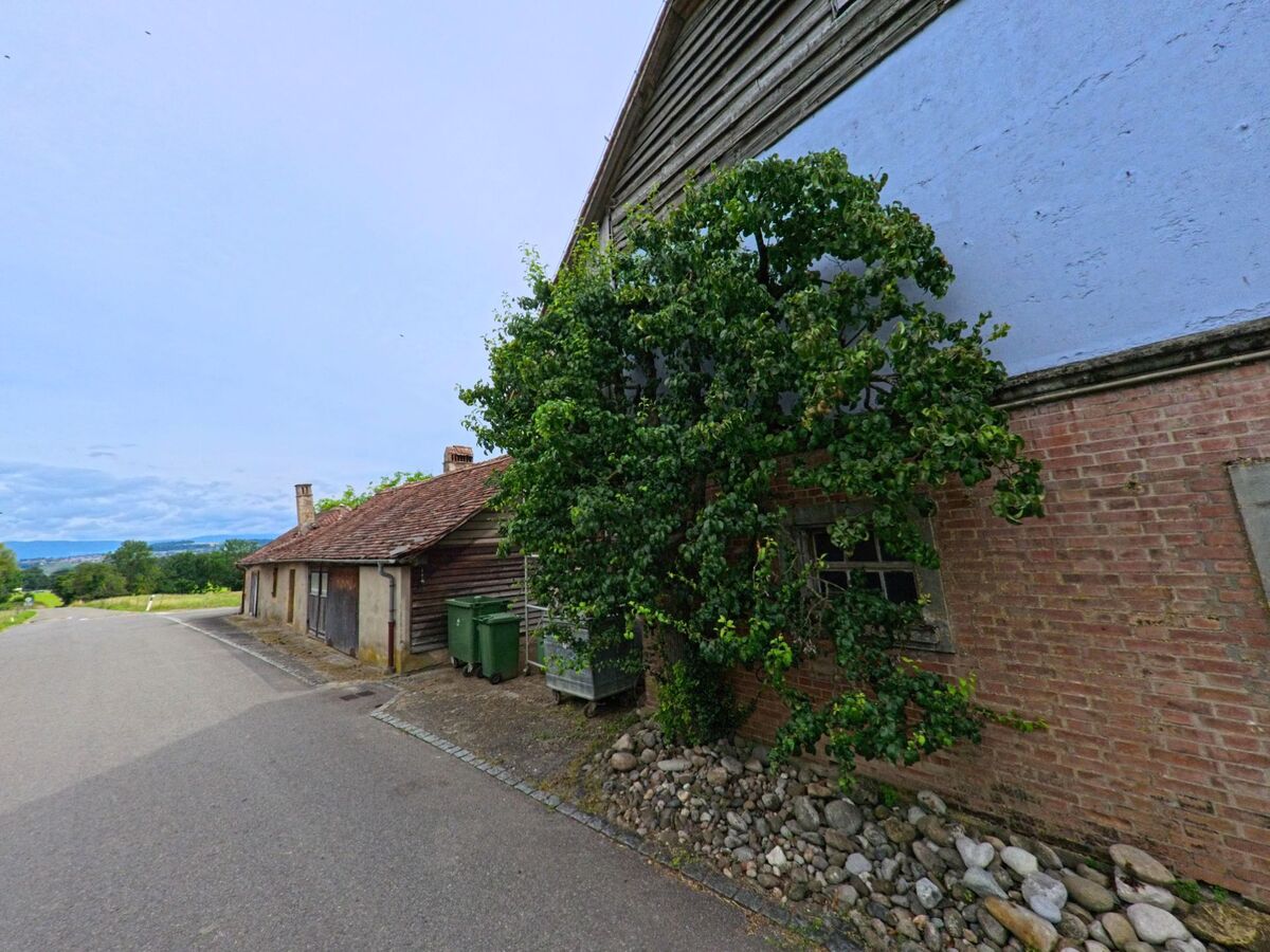 In Greng (3280, Kanton Freiburg) steht ein altes Nebengebäude mit Ziegeldach und Holzverkleidung an einer abfallenden Strasse, flankiert von einem mit Steinen eingefassten Baum.