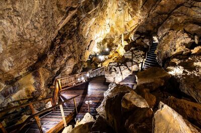 In den Grottes de Vallorbe in Vallorbe (1337, Kanton Waadt) fuehren beleuchtete Holzstege und Treppen durch die beeindruckende Tropfsteinhoehle.