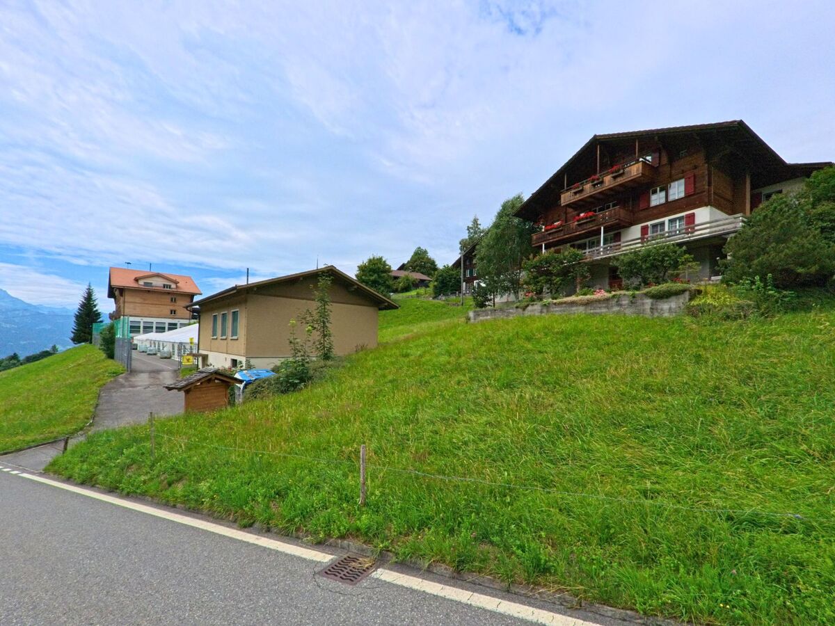 Oberhalb einer Wiese in Habkern (3804, Kanton Bern) reihen sich mehrere Wohnhaeuser an einem Hang, mit Balkonen und Blick auf das Tal.