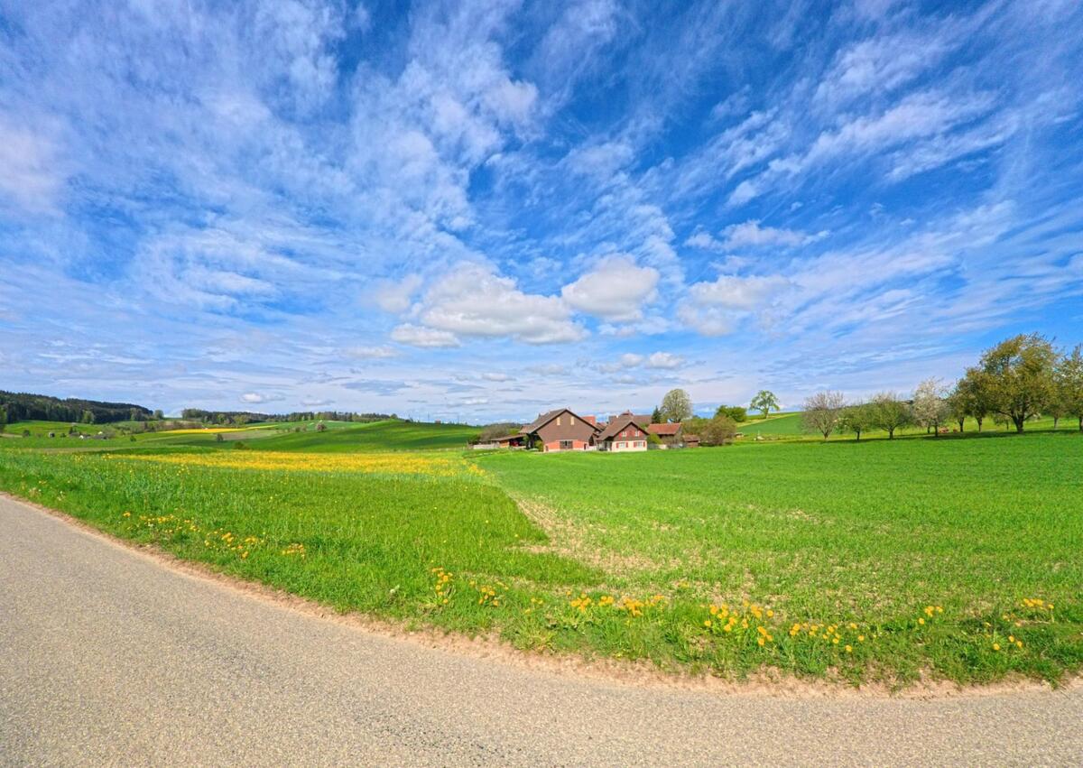 Weitläufige Felder und sanfte Hügel prägen die Landschaft von Hagenbuch im PLZ-Gebiet 8523 im Kanton Zürich, wo ein Bauernhof inmitten der grünen Wiesen liegt.