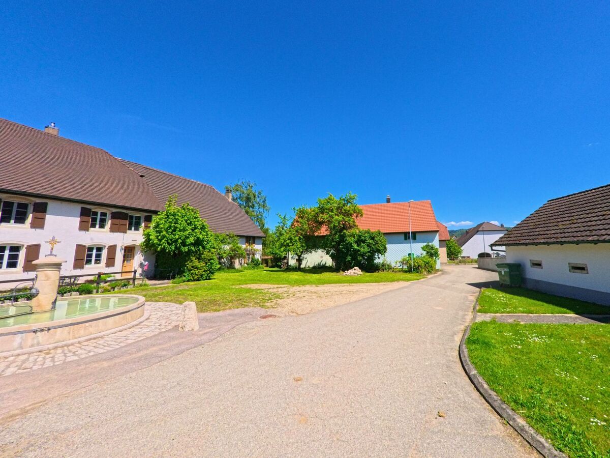 Ein runder Dorfbrunnen mit Wasserspiegel steht in Haute-Ajoie (2914, Kanton Jura) vor traditionellen Wohnhäusern an einer ruhig gelegenen Seitenstrasse.