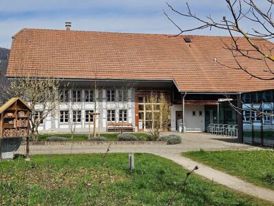 Vor dem Heimatmuseum in Rothrist (4852, Kanton Aargau) steht im Frühling ein Insektenhotel neben dem Weg durch den grünen Garten.