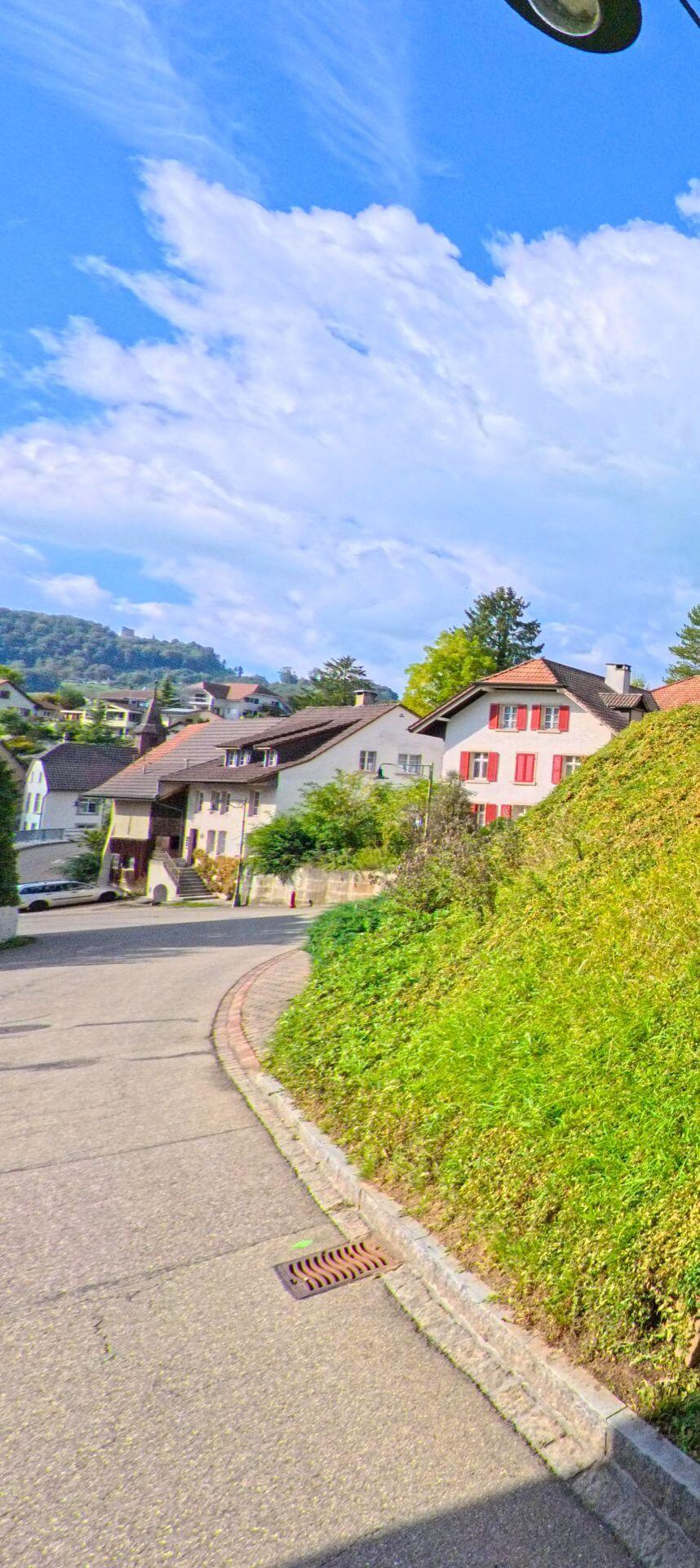 Entlang einer ansteigenden Strasse in Hemmiken (4465, Kanton Basel-Landschaft) zeigt das Bild Wohnhäuser mit roten Fensterläden vor den bewaldeten Hügeln.