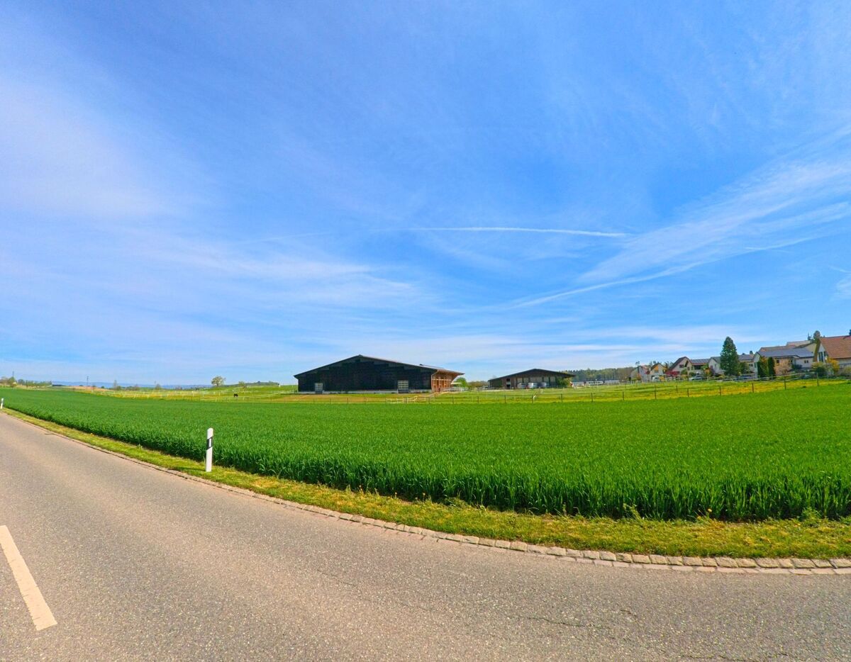 In der Gemeinde Henggart, PLZ 8444 im Kanton Zürich, erstreckt sich eine weite grüne Ackerfläche mit Blick auf landwirtschaftliche Gebäude und angrenzende Wohnhäuser.
