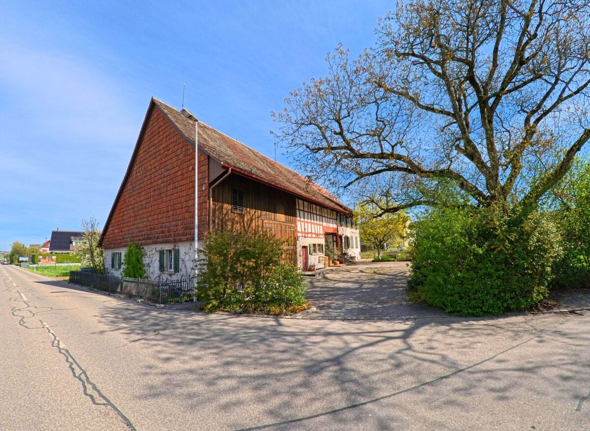 Ein traditionelles Bauernhaus mit Fachwerkfassade steht in Henggart im Kanton Zürich, PLZ 8444, an einer ruhigen Strasse, flankiert von einem grossen Baum mit weit verzweigten Ästen.