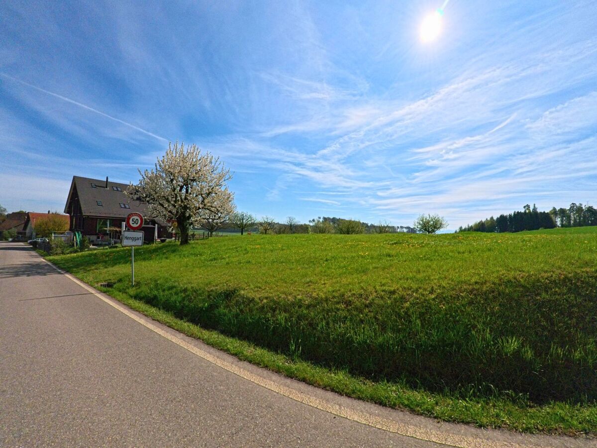 Am Ortsrand von Henggart, PLZ 8444 im Kanton Zürich, steht ein blühender Baum neben dem Ortsschild und einem Wohnhaus mit dunklem Satteldach, umgeben von Wiesen.