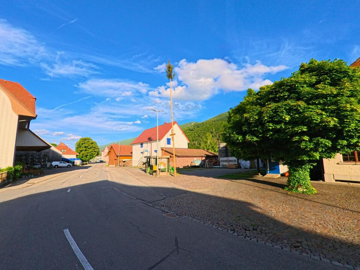 Die Hauptstrasse von Herbetswil (4715, Kanton Solothurn) verläuft zwischen Wohnhäusern und Gewerbebauten, gesäumt von grossen Bäumen und gepflasterten Gehwegen.