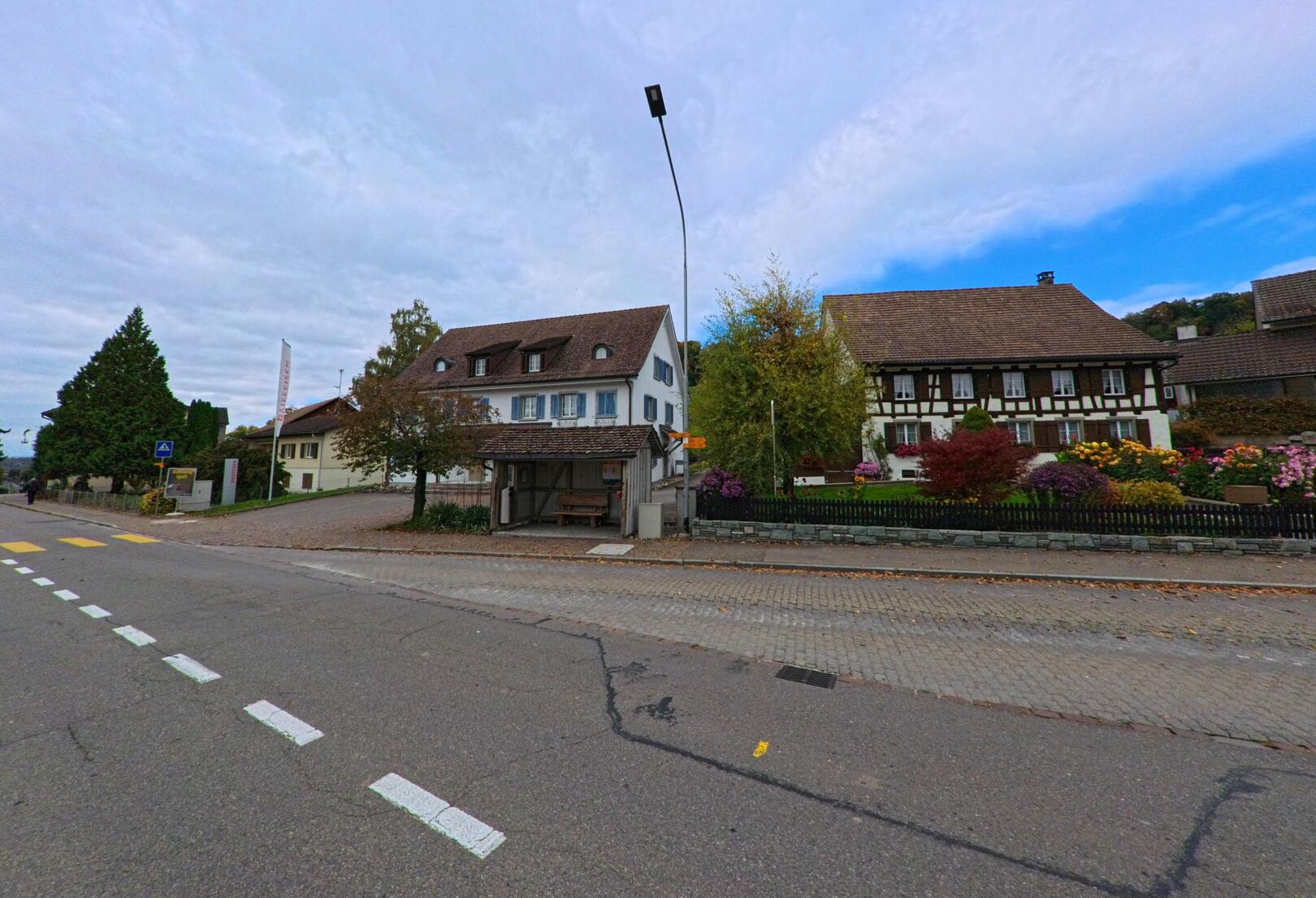 Entlang einer ruhigen Strasse in Herdern (8535, Kanton Thurgau) stehen traditionelle Wohnhäuser mit blühendem Vorgarten unter einem wechselhaften Himmel.