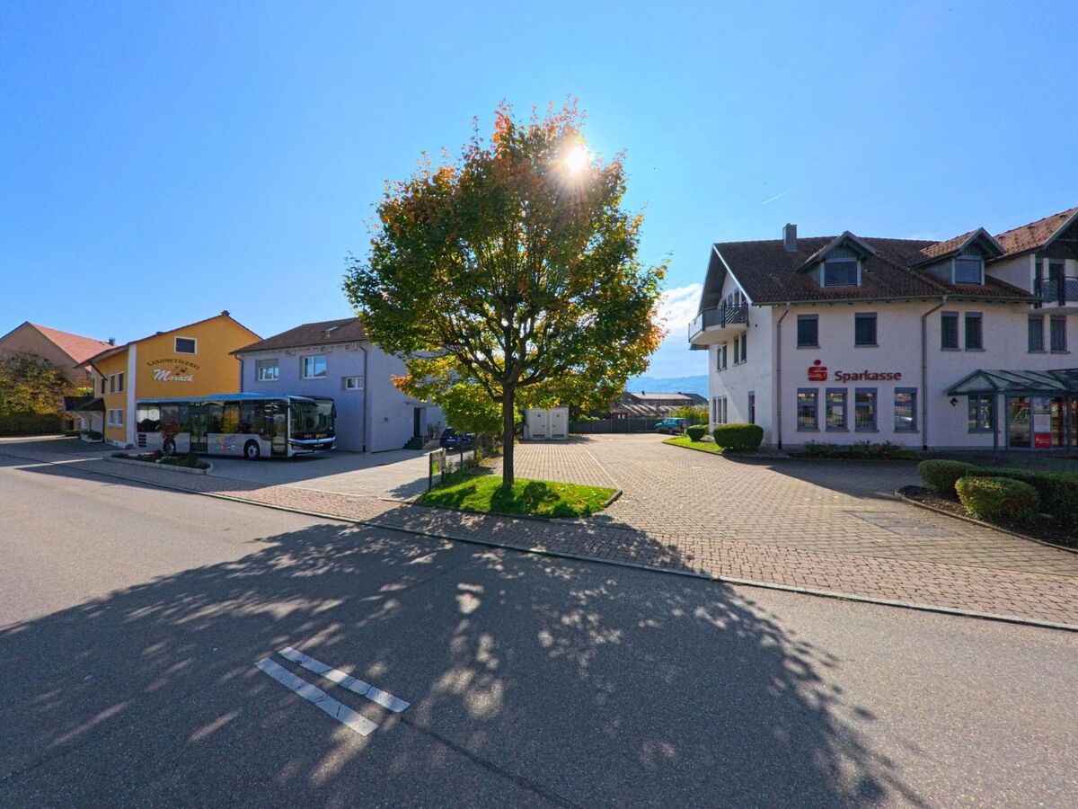 Ein Platz mit grossem Baum und Bus vor Gebäuden liegt in Herdern (8535, Kanton Thurgau) im Sonnenlicht bei klarem Himmel.