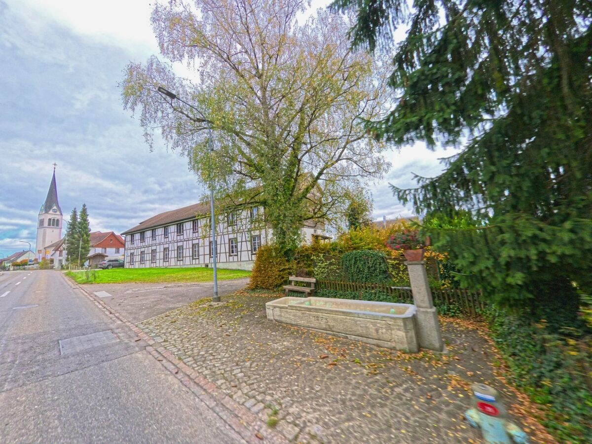 Neben einem Brunnen unter hohen Bäumen verläuft in Herdern (8535, Kanton Thurgau) der Gehweg entlang der Strasse mit Blick auf Kirche und Fachwerkgebäude.