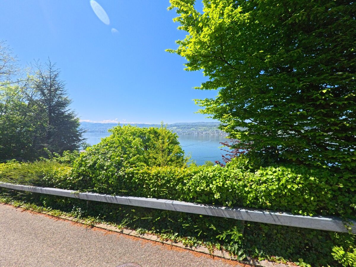 Ein Aussichtspunkt in Herrliberg im Kanton Zürich, PLZ 8704, ermöglicht durch dichte Baumkronen hindurch einen weiten Blick über den Zürichsee und das gegenüberliegende Ufer.