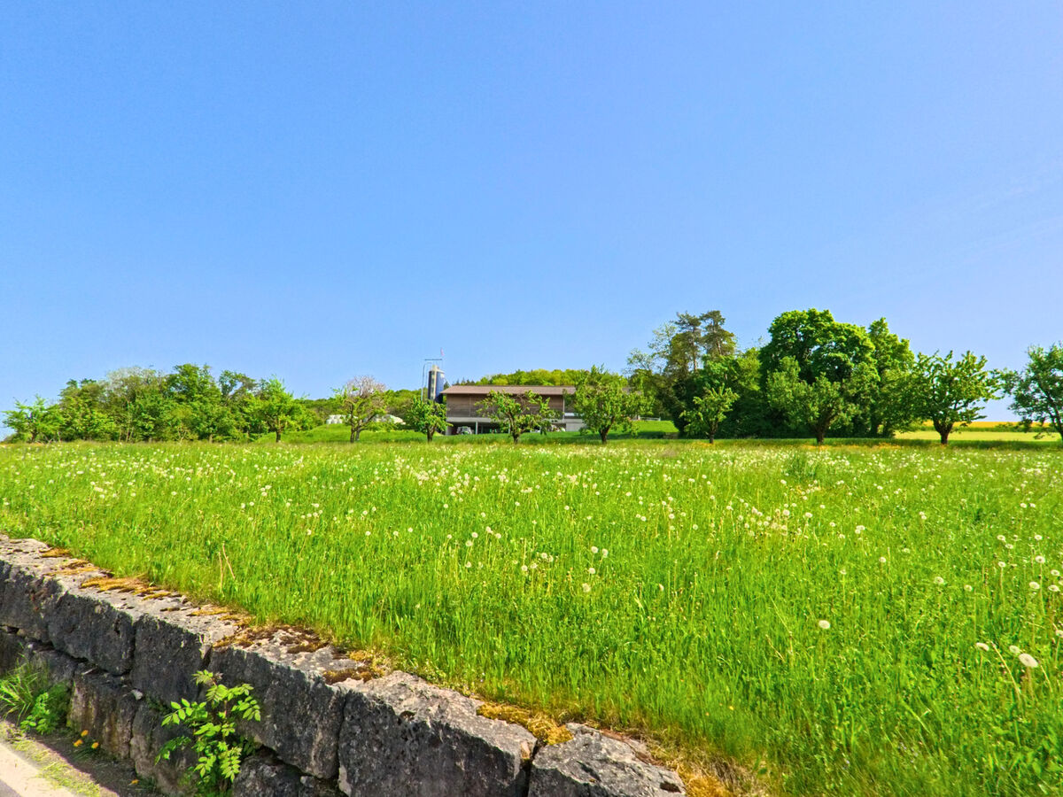 In Hersberg (4453, Kanton Baselland) erstreckt sich ein grünes Feld entlang einer Straße, mit einer Mauer und Bäumen, die das Landschaftsbild prägen.