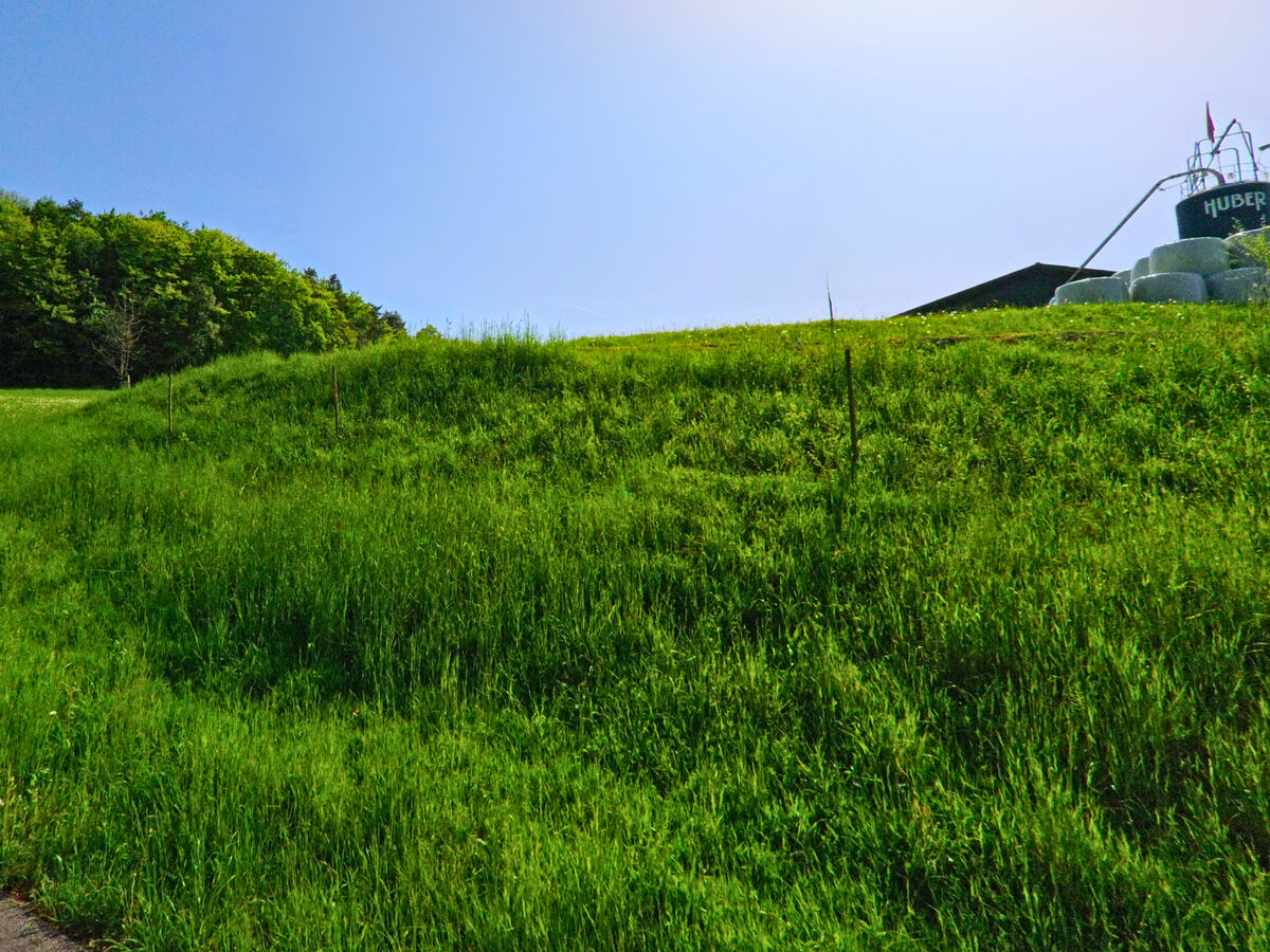 In Hersberg (4453, Kanton Baselland) verläuft eine Straße entlang eines grünen Hangs, über dem ein landwirtschaftlicher Behälter zu sehen ist, während sich Wald im Hintergrund erstreckt.