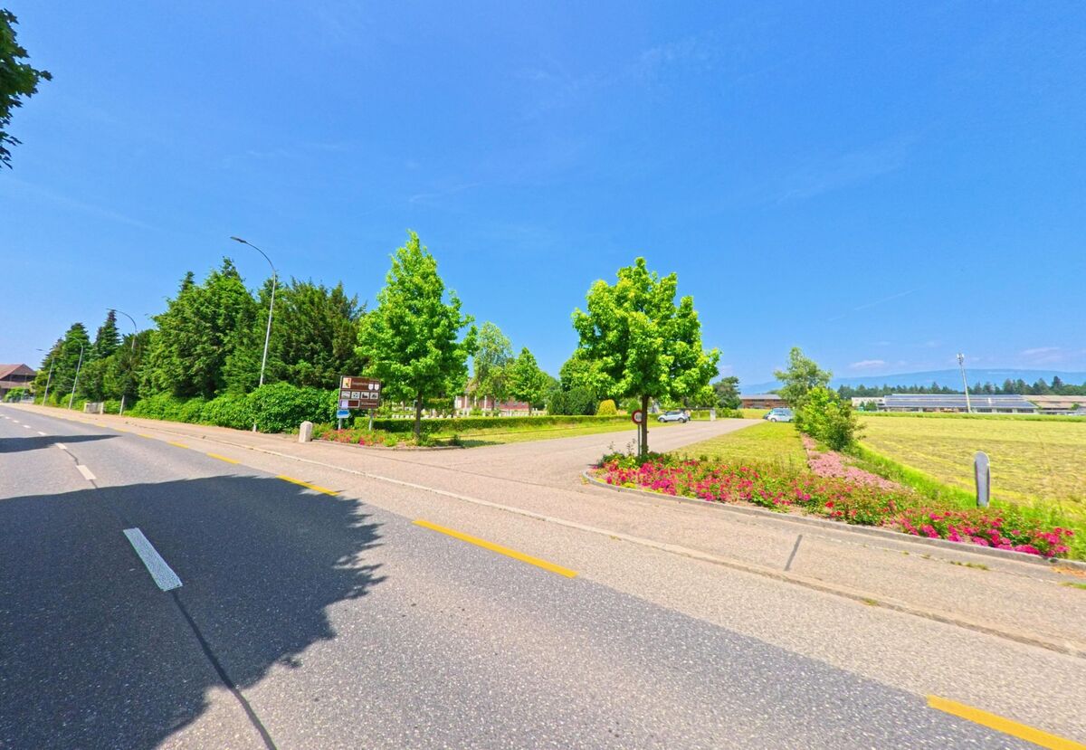 In Herzogenbuchsee (3360, Kanton Bern) führt eine Straße an einem blühenden Blumenbeet und grünen Bäumen entlang, mit einem Ortsschild im Vordergrund und Feldern im Hintergrund.