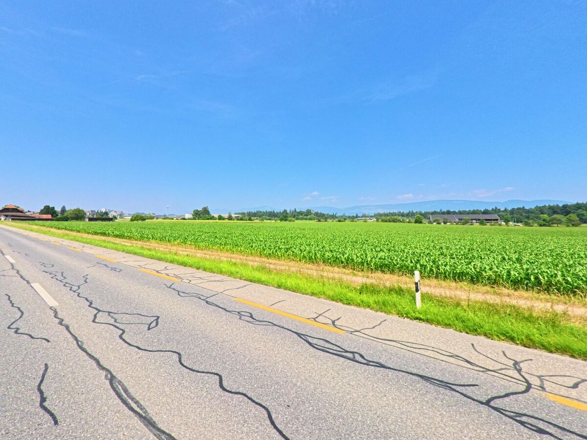 Eine Landstraße in Herzogenbuchsee (3360, Kanton Bern) führt entlang eines weiten Feldes, mit einem Auto, das in Richtung der dörflichen Gebäude im Hintergrund fährt.