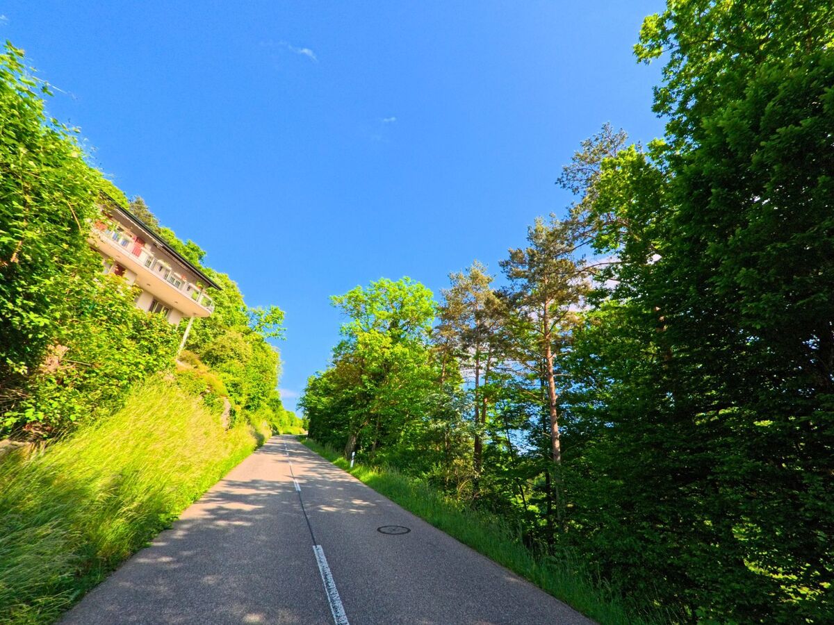 In Himmelried (4204, Kanton Solothurn) führt eine schmale Strasse bergauf zwischen dicht bewaldetem Hang und einem Wohnhaus mit Balkon.